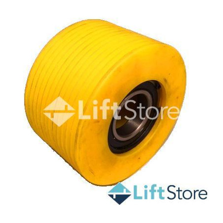 POLEA DESVIO 160X12X4 EASYLIFT AUTUR / LIFTTECHNIK