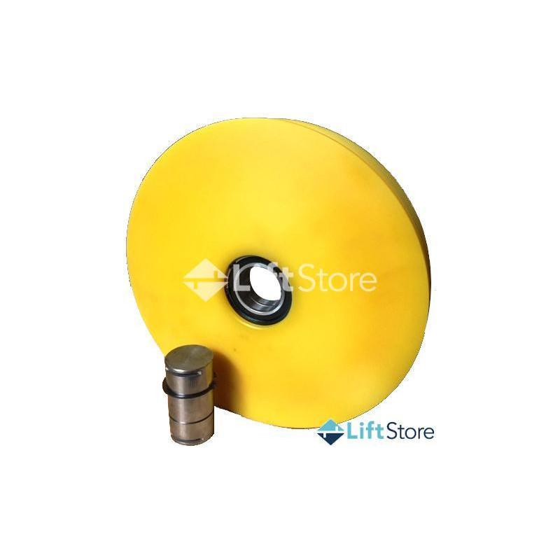 POLEA POLIAMIDA PA6G 320X4X8 6010 2RS 50MM C 96MM